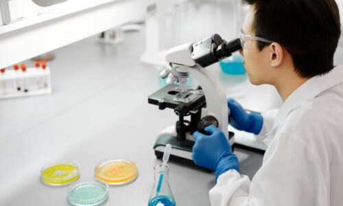 Department of Medical Laboratories